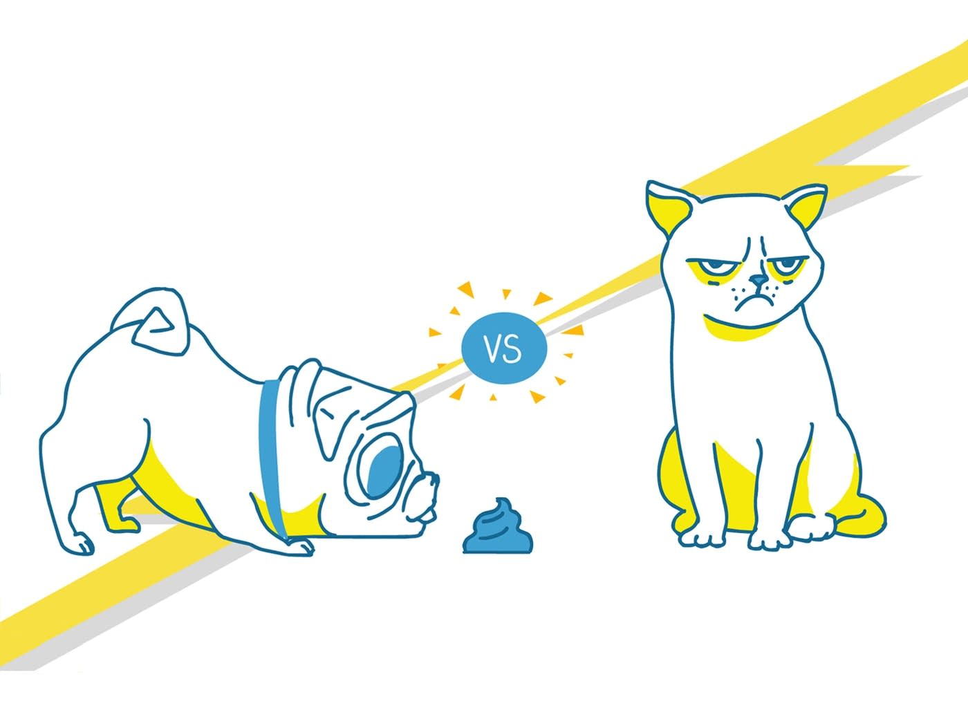 Cat vs Dog Classifier